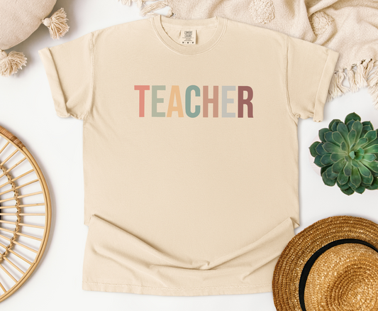 Teacher