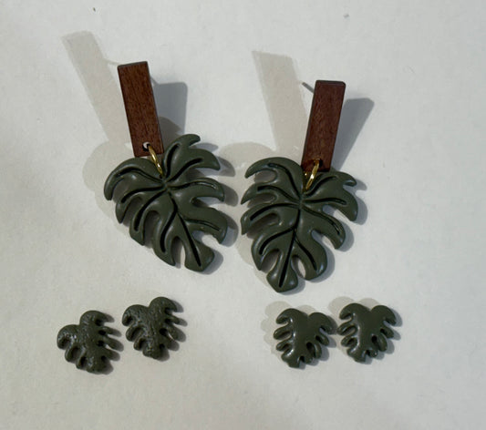 Monstera