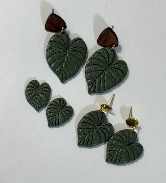 Colocasia