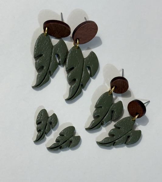 Philodendron