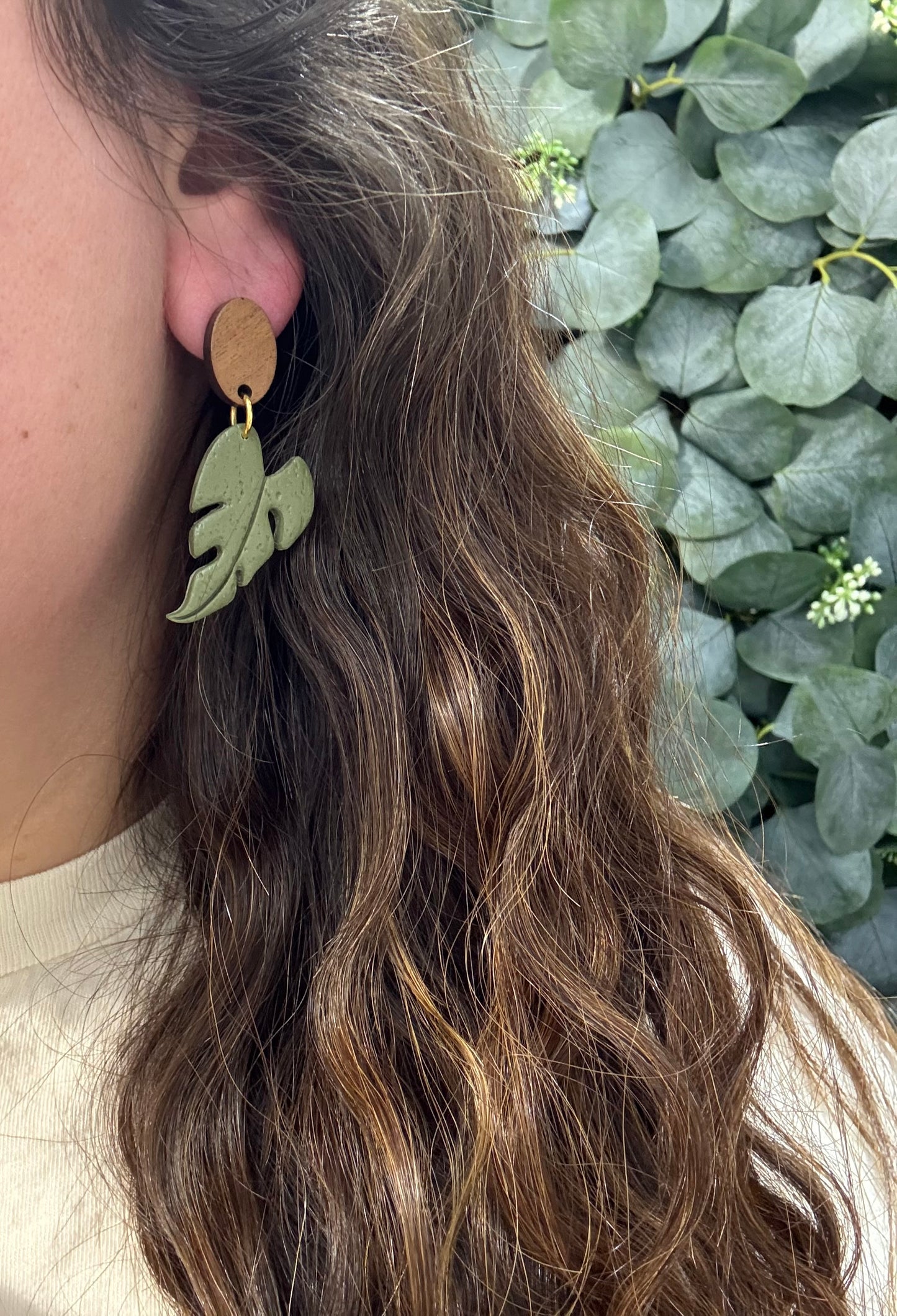 Philodendron