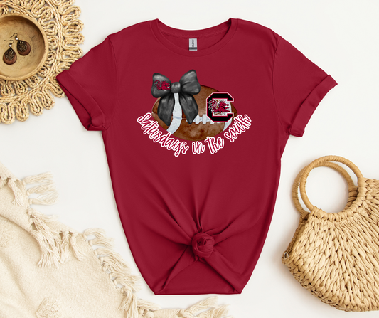 Saturdays in the South: Gamecocks